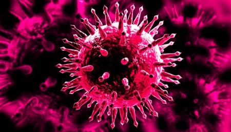 علماء يحذرون من تفشي فيروس قاتل جديد